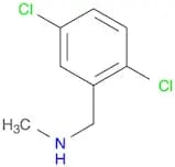 [(2,5-dichlorophenyl)methyl](methyl)amine
