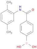 4-(2,5-Dimethylphenylcarbamoyl)phenylboronic acid