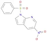 1H-Pyrrolo[2,3-b]pyridine, 5-nitro-1-(phenylsulfonyl)-