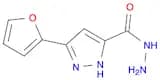3-(Furan-2-yl)-1h-pyrazole-5-carbohydrazide