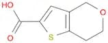 6,7-Dihydro-4H-thieno[3,2-c]pyran-2-carboxylic acid