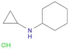 N-cyclohexyl-N-cyclopropylamine hydrochloride