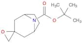 tert-butyl 8-azaspiro[bicyclo[3.2.1]octane-3,2'-oxirane]-8-carboxylate