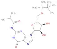2'-TBDMS-ibu-rG