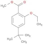 4-TERT-BUTYL-2-ETHOXY-BENZOIC ACID METHYL ESTER