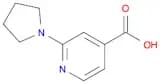 2-(Pyrrolidin-1-yl)isonicotinic acid