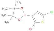 2-(2-Bromo-5-chlorothiophen-3-yl)-4,4,5,5-tetramethyl-1,3,2-dioxaborolane