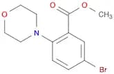 Methyl 5-bromo-2-morpholinobenzoate