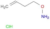 O-(But-3-en-1-yl)hydroxylamine hydrochloride