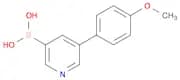 5-(4-Methoxyphenyl)pyridin-3-ylboronic acid