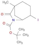 Tert-Butyl 4-Iodo-1-Methyl-7-Oxo-6-Azabicyclo[3.2.1]Octane-6-Carboxylate
