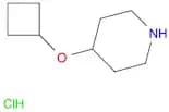 4-Cyclobutoxypiperidine-Hcl
