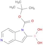 1-Boc-5-Azaindole-2-boronic acid