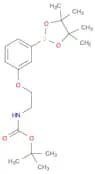 3-[2-(Boc-amino)ethoxy]phenylboronicAcidPinacolEster