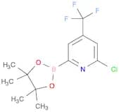 2-Chloro-4-(trifluoromethyl)pyridine-2-boronic acid pinacol ester