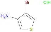 3-​Thiophenamine, 4-​bromo-​, hydrochloride (1:1)