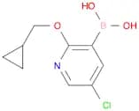 5-Chloro-2-(cyclopropylmethoxy)pyridine-3-boronic acid