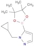 1-(Cyclopropylmethyl)pyrazole-5-boronic acid pinacol ester
