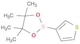 1,3,2-Dioxaborolane, 4,4,5,5-tetramethyl-2-(3-thienyl)-