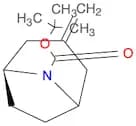 3-Methylene-8-Boc-8-azabicyclo[3.2.1]octane