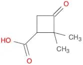 2,2-Dimethyl-3-oxocyclobutanecarboxylic acid