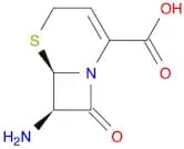 5-Thia-1-azabicyclo[4.2.0]oct-2-ene-2-carboxylic acid, 7-amino-8-oxo-,(6R,7R)-