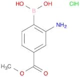 2-Amino-4-methoxycarbonylphenylboronic acid, HCl