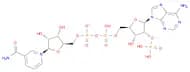 β-Nicotinamide adenine dinucleotide phosphate