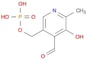 4-Pyridinecarboxaldehyde,3-hydroxy-2-methyl-5-[(phosphonooxy)methyl]-