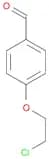 Benzaldehyde, 4-(2-chloroethoxy)-