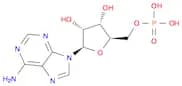 5'-Adenylic Acid