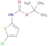 Carbamic acid, (5-chloro-2-thienyl)-, 1,1-dimethylethyl ester