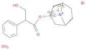 8-Azoniabicyclo[3.2.1]octane,3-(3-hydroxy-1-oxo-2-phenylpropoxy)-8-methyl-8-(1-methylethyl)-, brom…