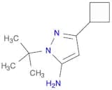 1H-Pyrazol-5-amine, 3-cyclobutyl-1-(1,1-dimethylethyl)-