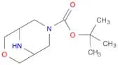 tert-Butyl 3-oxa-7,9-diazabicyclo[3.3.1]nonane-7-carboxylate