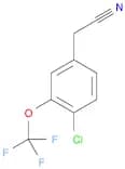 4-Chloro-3-(trifluoromethoxy)phenylacetonitrile