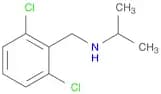 [(2,6-Dichlorophenyl)methyl](propan-2-yl)amine