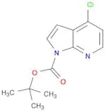 1H-PYRROLO[2,3-B]PYRIDINE-1-CARBOXYLIC ACID,4-CHLORO-, 1,1-DIMETHYLETHYL ESTER