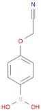 4-Cyanomethoxyphenylboronic acid