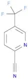 2-​Pyridinecarbonitrile​, 5-​(trifluoromethyl)​-