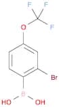 2-Bromo-4-(trifluoromethoxy)phenylboronic acid