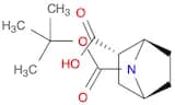 7-Azabicyclo[2.2.1]heptane-2,7-dicarboxylic acid, 7-(1,1-dimethylethyl)ester, (1R,2S,4S)-rel-