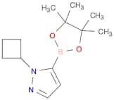 1-cyclobutyl-5-(tetramethyl-1,3,2-dioxaborolan-2-yl)-1H-pyrazole