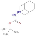 Carbamic acid, 3-​azabicyclo[3.3.1]​non-​9-​yl-​, 1,​1-​dimethylethyl ester (9CI)