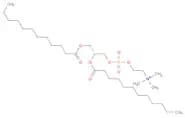 1,2-Didodecanoyl-sn-glycero-3-phosphocholine