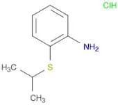 [2-(isopropylthio)phenyl]amine hydrochloride
