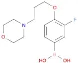 3-Fluoro-4-(3-morpholinopropoxy)phenylboronic acid