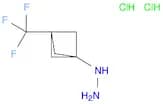 [3-(trifluoromethyl)bicyclo[1.1.1]pentan-1-yl]hydrazine dihydrochloride