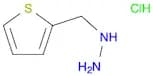 (2-thienylmethyl)hydrazine hydrochloride