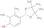 2,3-dimethyl-4-(4,4,5,5-tetramethyl-1,3,2-dioxaborolan-2-yl)phenol